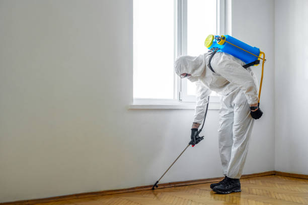 Best Wildlife Control Services  in Hallowell, ME