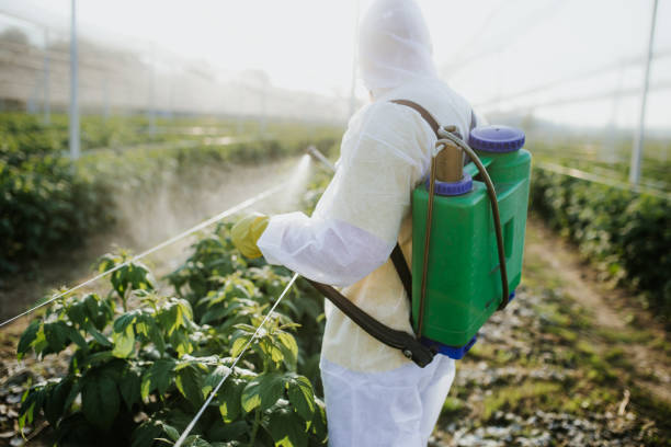Reliable Hallowell, ME Pest Control Solutions